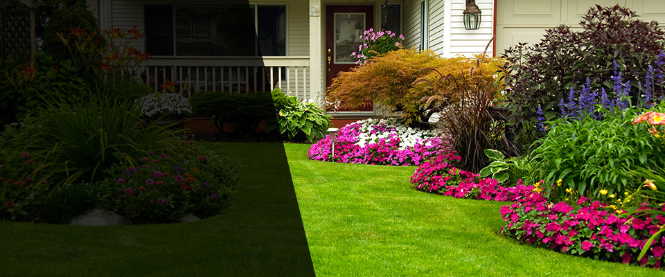 Dandridge Landscapers