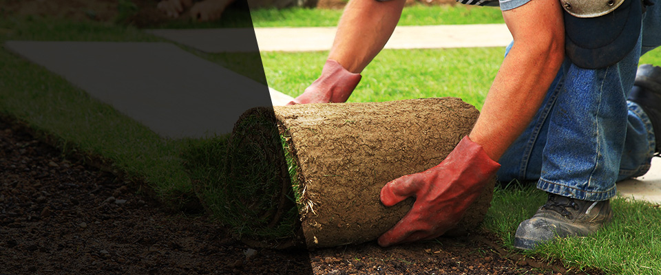 Dandridge Landscapers